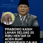 Prabowo Sediakan Lahan 20 Ribu Hektare di Aceh untuk Konservasi Gajah