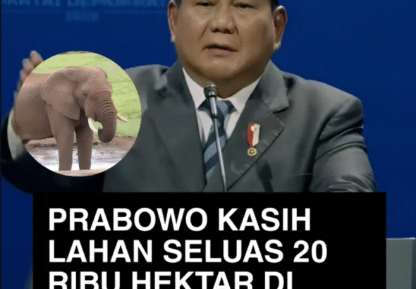 Prabowo Sediakan Lahan 20 Ribu Hektare di Aceh untuk Konservasi Gajah