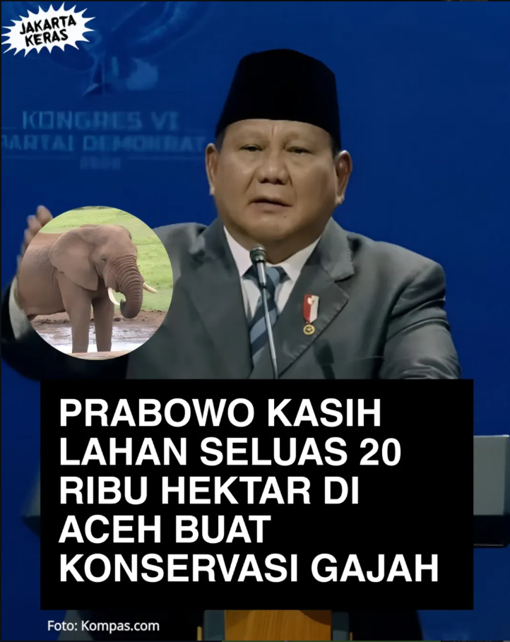 Prabowo Sediakan Lahan 20 Ribu Hektare di Aceh untuk Konservasi Gajah